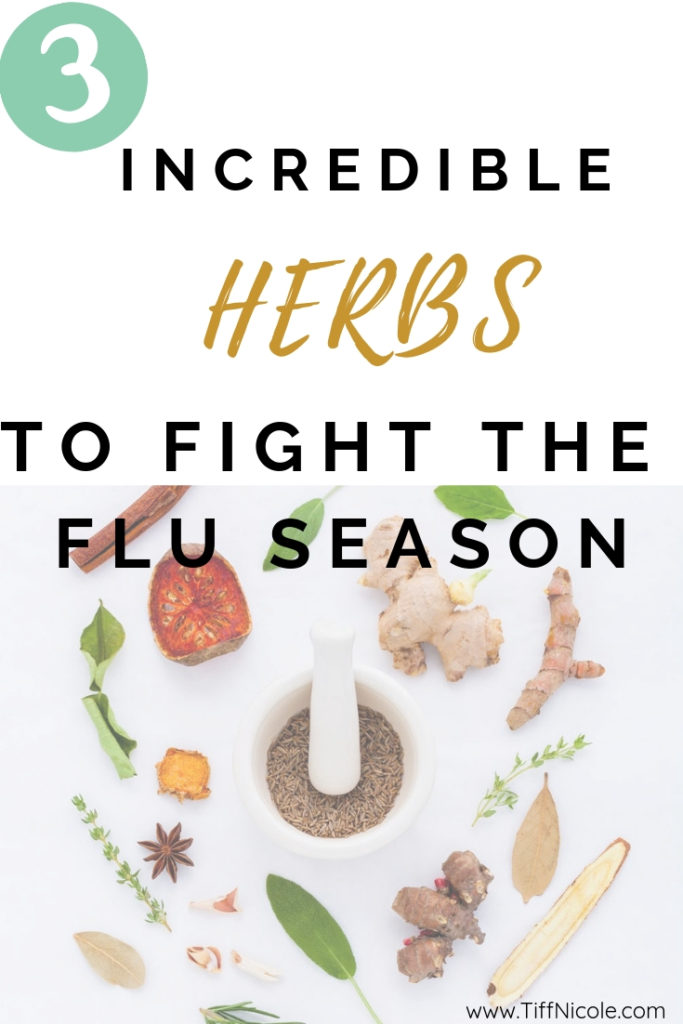 herbs that heal in flu